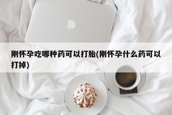 推荐个卖堕胎药的微信刚怀孕吃哪种药可以打胎(刚怀孕什么药可以打掉)
