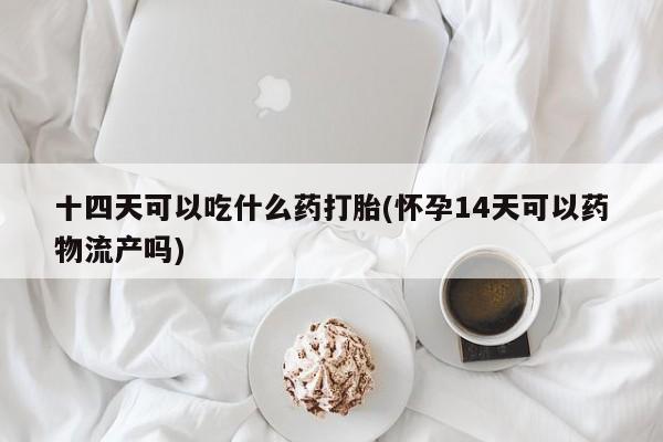 推荐个卖堕胎药的微信十四天可以吃什么药打胎(怀孕14天可以药物流产吗)