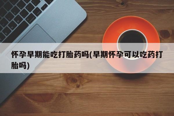 推荐个卖堕胎药的微信怀孕早期能吃打胎药吗(早期怀孕可以吃药打胎吗)