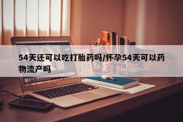 推荐个卖堕胎药的微信54天还可以吃打胎药吗/怀孕54天可以药物流产吗